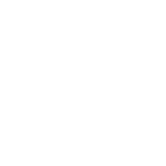 湯葉の豆知識